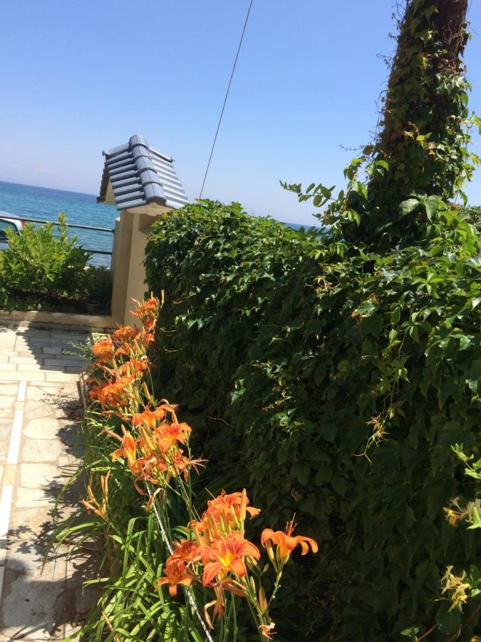 Villa Aegean Blue Platamonas Esterno foto